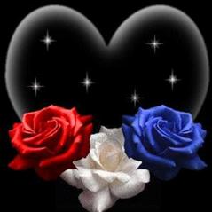 rose