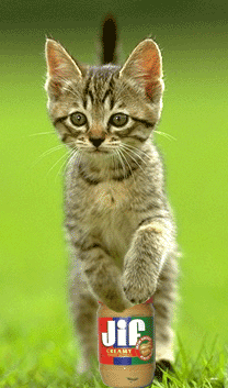 chat